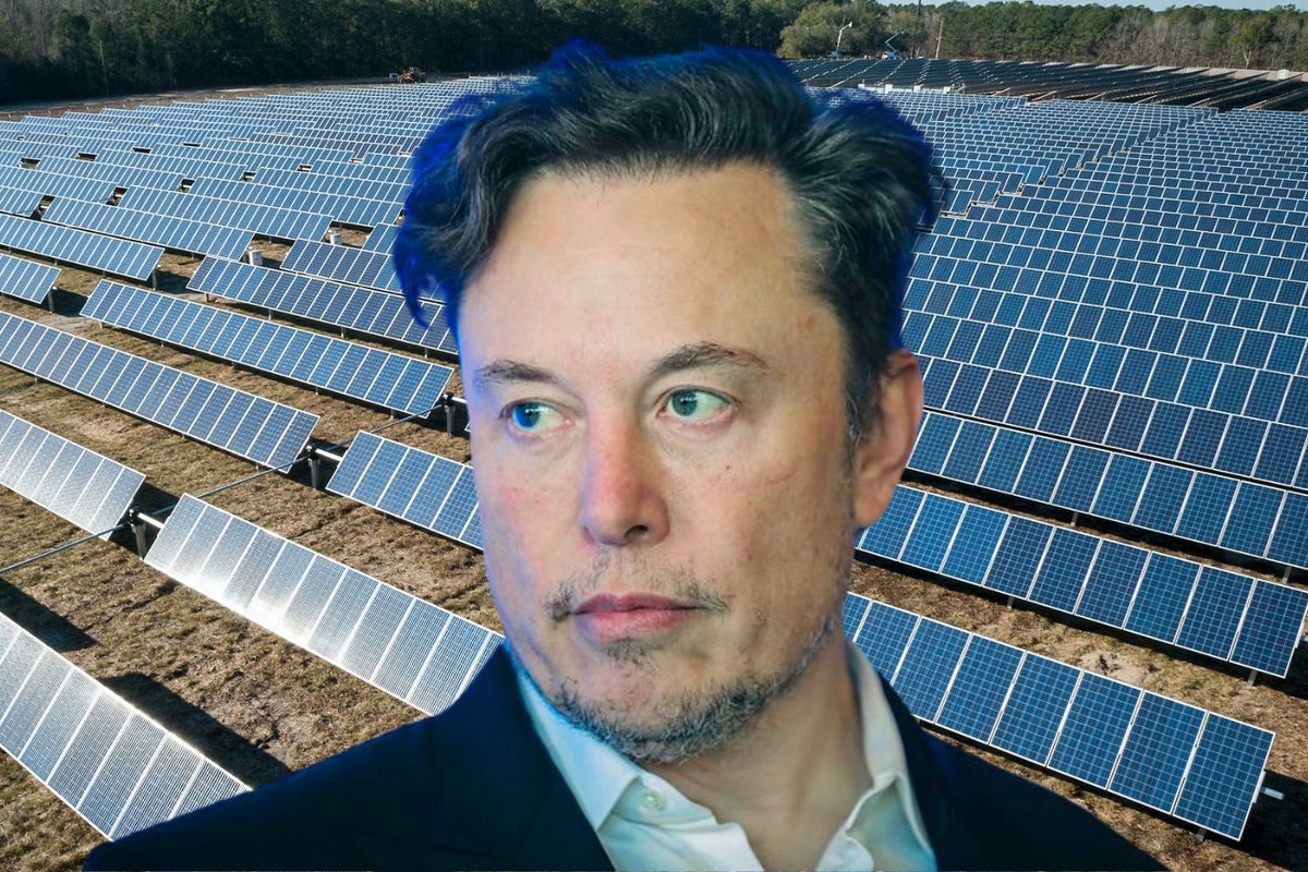 Elon Musk Predicts Civilization Will Be Powered By This Energy Source In The Future