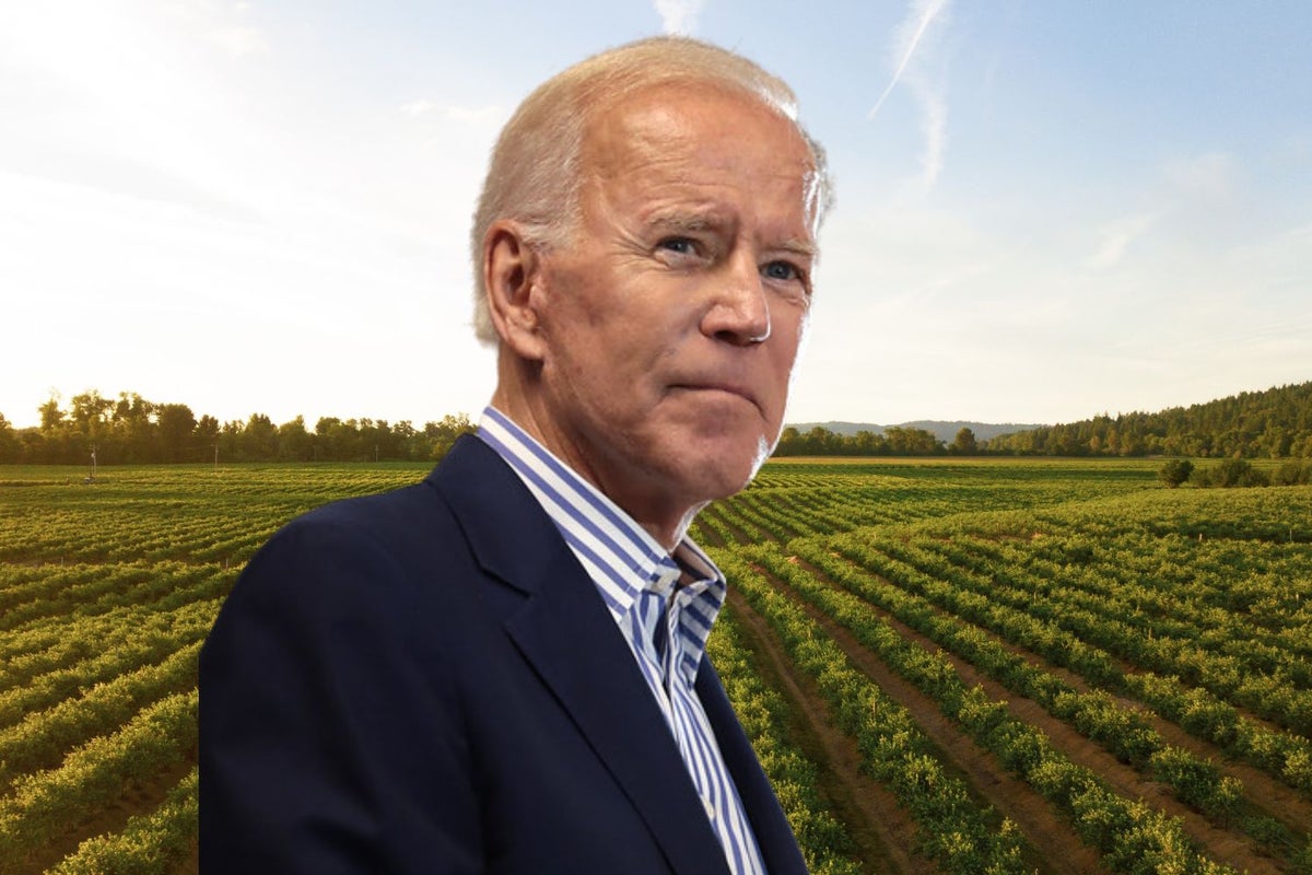3 Under The Radar Dividend Stocks In Agriculture As $20B From Biden Inflation Bill Flows To Farms