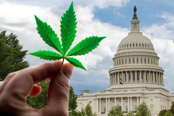 'SAFE Plus' Cannabis Reform Package, Sen. Jeff Merkley Provides Details At PBC Conference