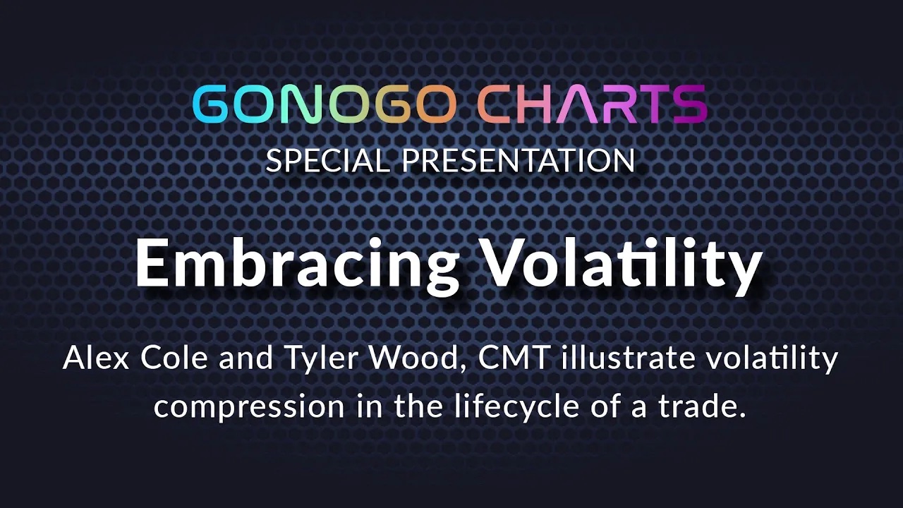 GoNoGo Special: Embracing Volatility | GoNoGo Charts
