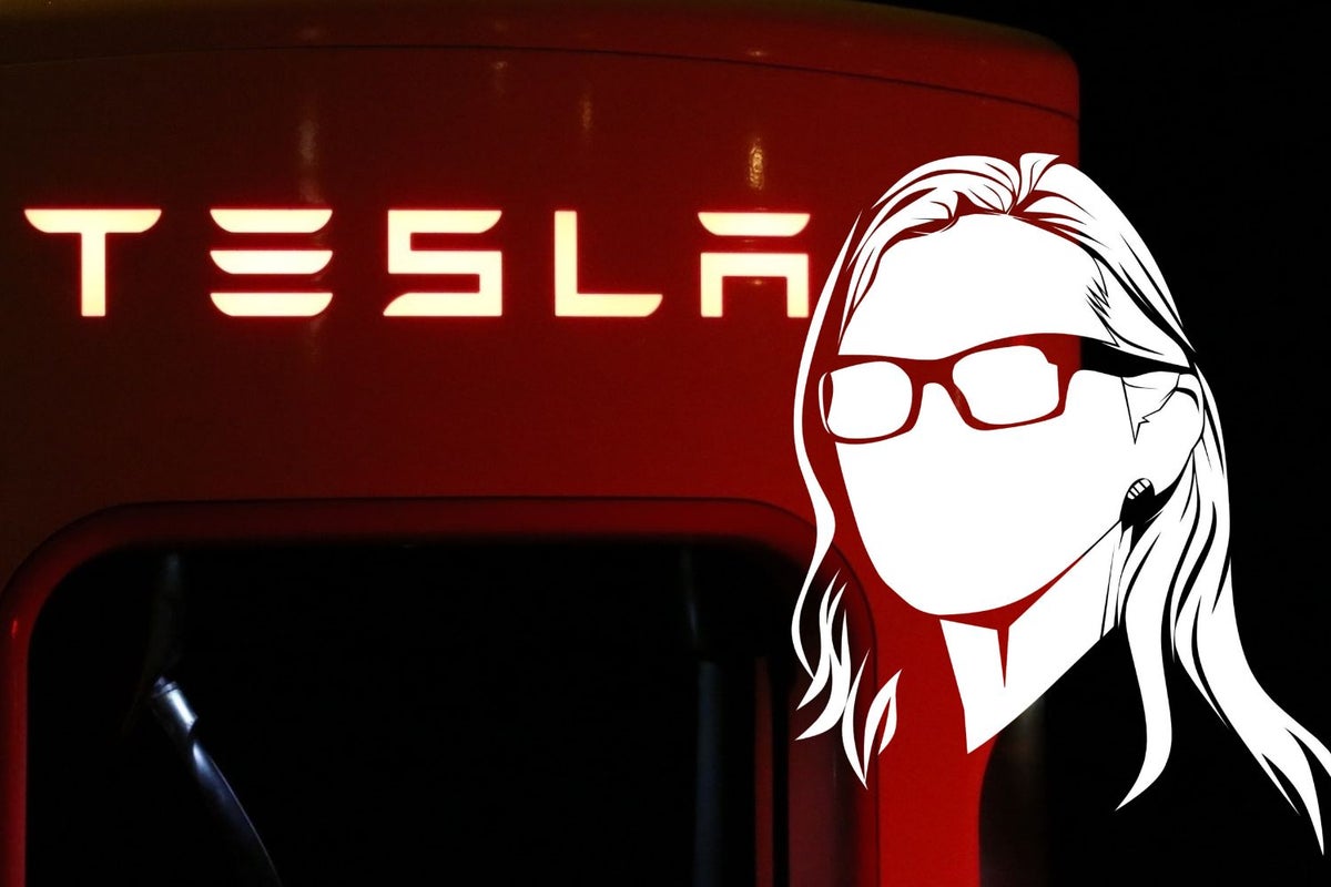 Cathie Wood Resumes Tesla Buying Amid Stock's 16% Weekly Declines: Here's How Much Ark Invest Added In The Past Week - Tesla (NASDAQ:TSLA)