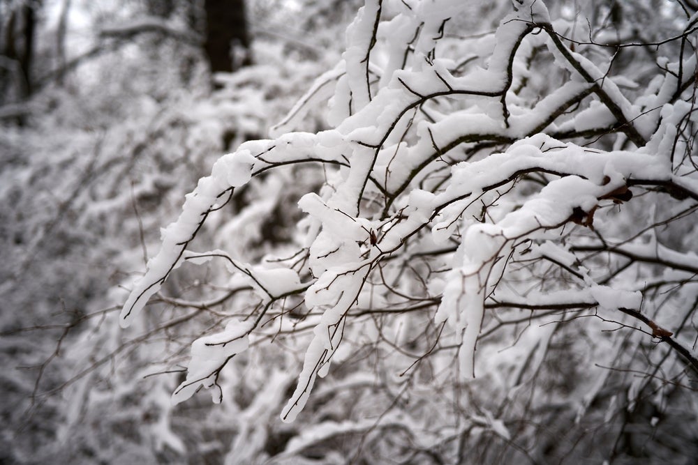 Winter Storm Elliott Continues To Unleash Havoc With 24 Dead, Several Thousand Homes Without Power During The Holidays