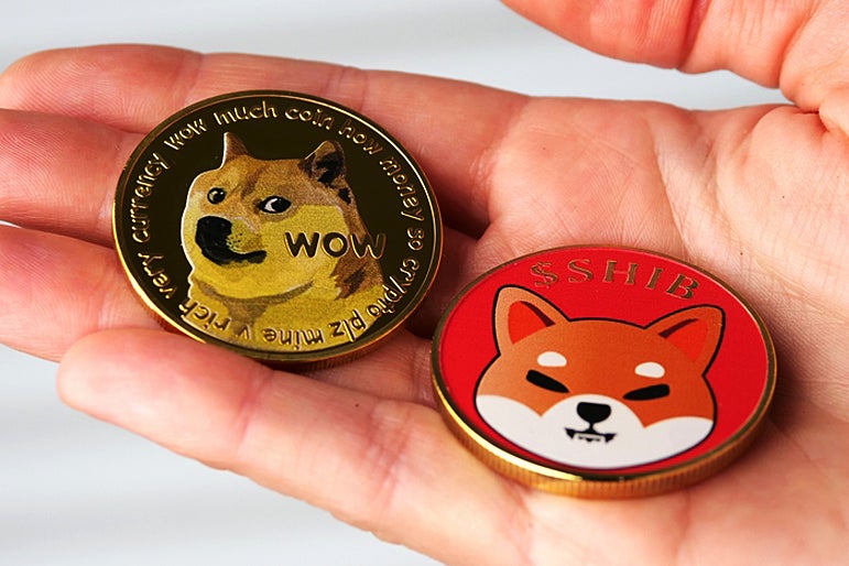 Dogecoin, Shiba Inu Or Baby Doge? Who Won Investor's Support In 2022's Battle Of Meme Coins - SHIBA INU (SHIB/USD), Dogecoin (DOGE/USD)