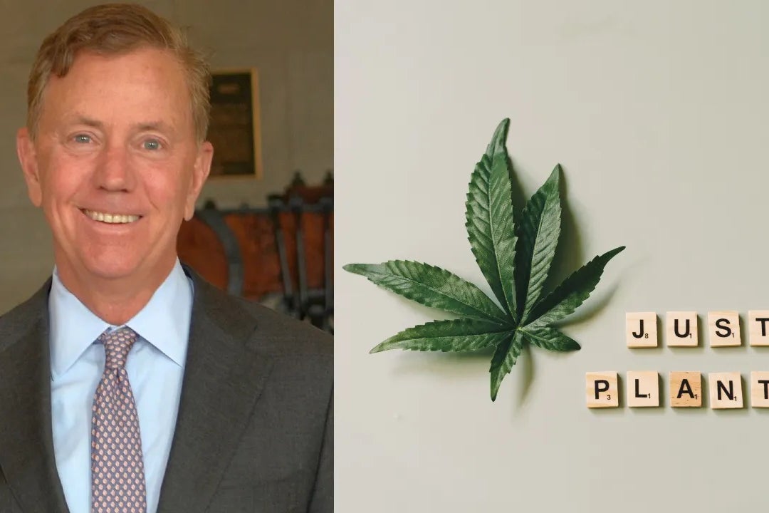 New Year, Fresh Start In Connecticut: Gov. Lamont Erases 43K Cannabis Convictions