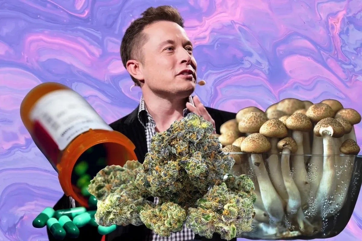 Elon Musk Calls Banning Drugs A 'Net Societal Negative,' Just Like 'Dumb' Alcohol Prohibition - Tesla (NASDAQ:TSLA)