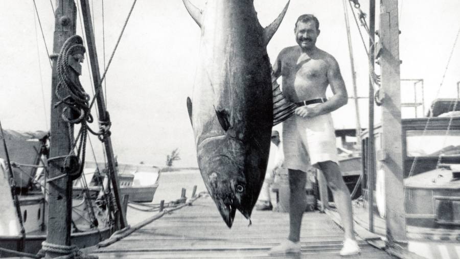 ‘Man against fish’: Cornwall could soon be selling the chance to catch tuna