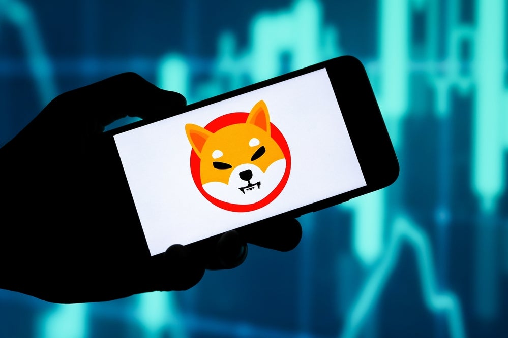 SHIB Emerges As Favorite Holding Among New Crypto Wallets